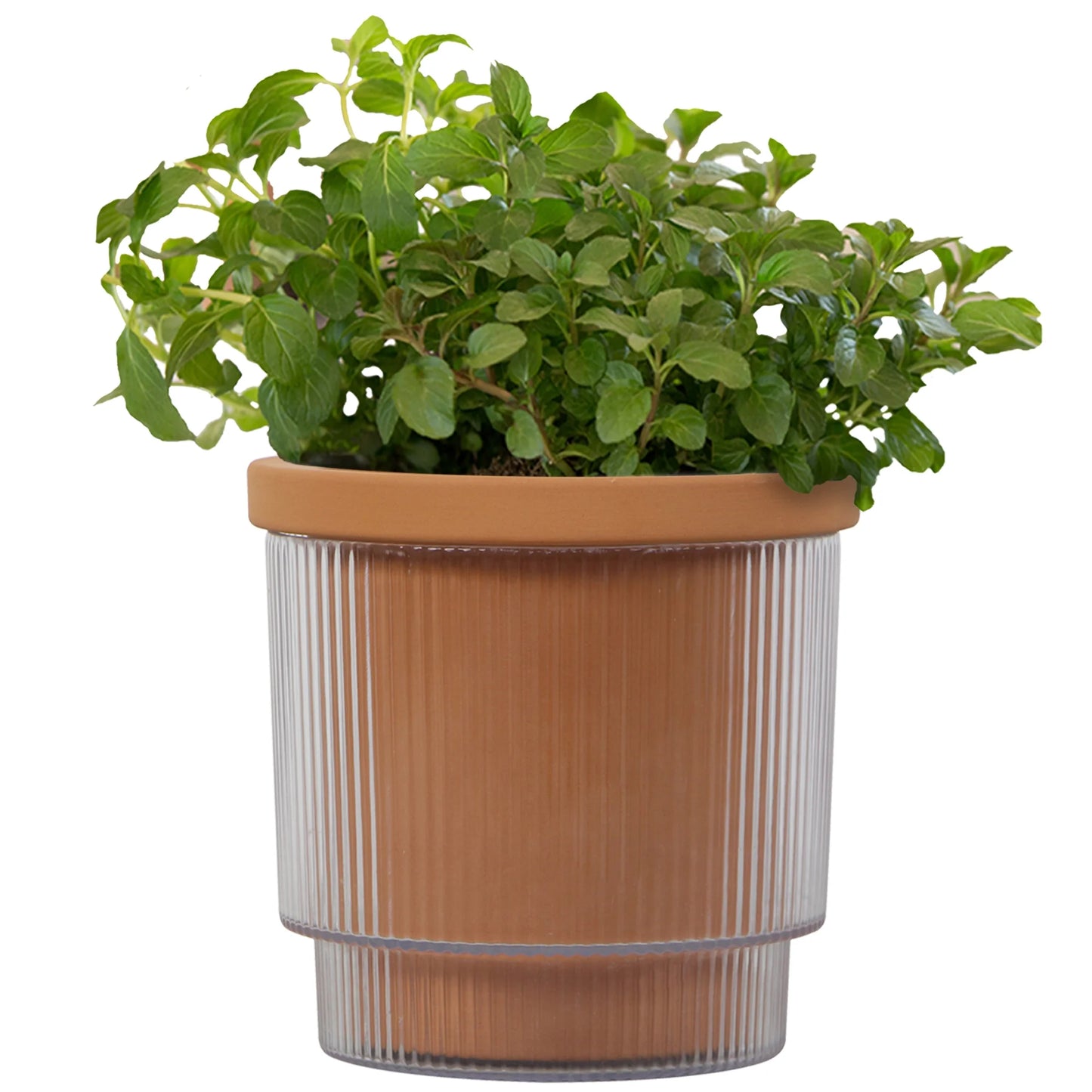 4in Aquaterra Self Watering Planter